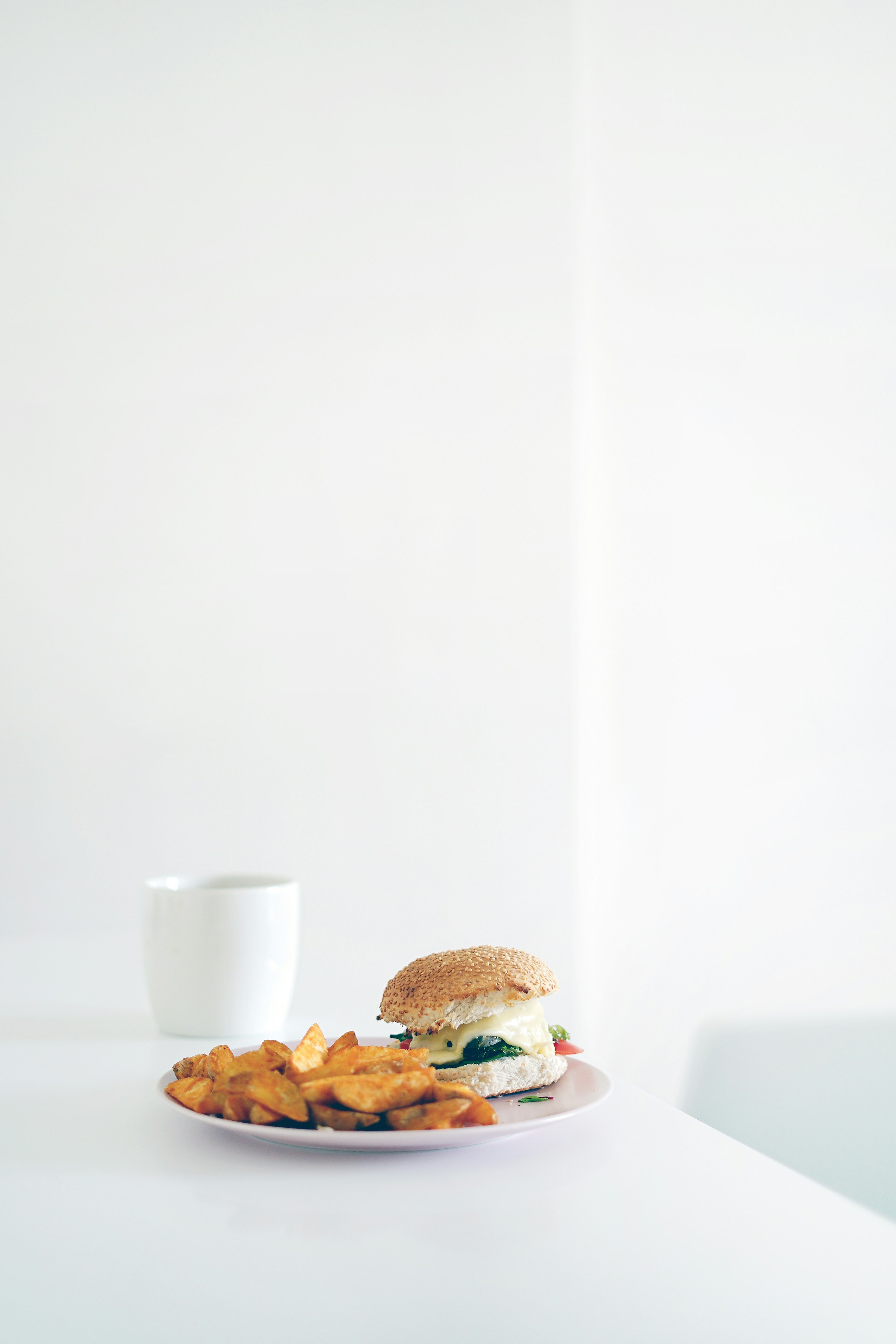 sandwich and potato fries on white plate